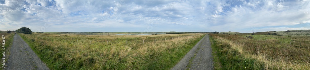 panorama of field