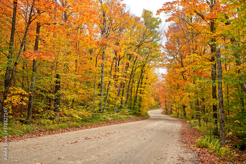 Fototapeta Naklejka Na Ścianę i Meble -  curved autumn road in the forest