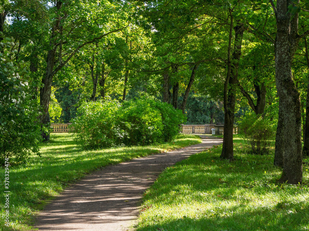 Green sunny park, atmospheric landscape of majestic nature Green sunny park, atmospheric landscape of majestic nature