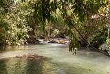 The bed  of the swift mountainous Hermon River with crystal clear waters in the Golan Heights in northern Israel