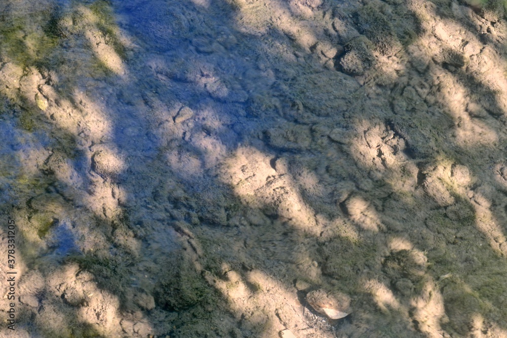 Play of shadows and rays of light in a shallow transparent reservoir with a rocky bottom, overgrown with algae Play of shadows and rays of light in a shallow transparent reservoir with a rocky bottom, overgrown with algae