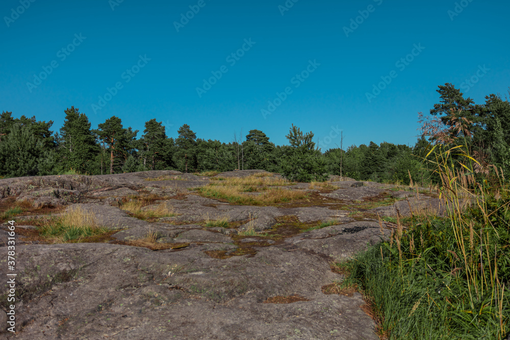 Scandinavian nature, granite and pine rocks. Sunny summer day