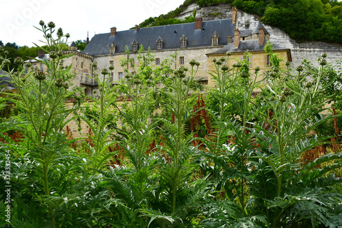 La Roche Guyon; France - june 20 2020 : the castle park photo