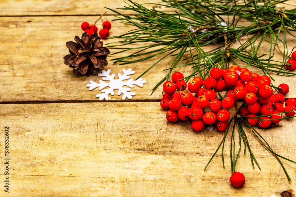 Fresh pine branches, ripe rowan berries, snowflakes and pine cones for Christmas or New Year concept