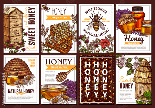 Eco bee honey vector hand drawn poster templates set. Organic food products shop advertising flyers, brochures collection. Wildflower and fruit tree natural honey packaging designs pack