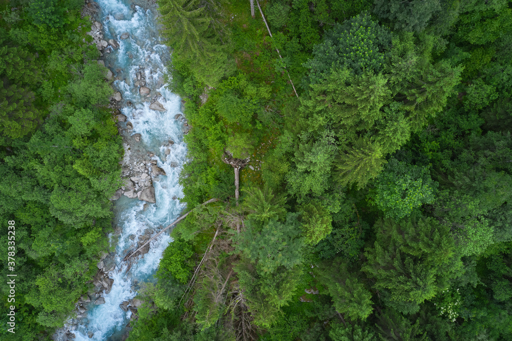 Fallen tree into the river. Mountain river in the alps. Alps italy panorama mountain torrent. Beautiful view of mountain river in summer. Aerial view.
