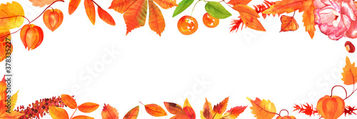 Watercolor autumn background, panoramic banner with a place for text, water color botanical drawings of leaves and branches, on a white background