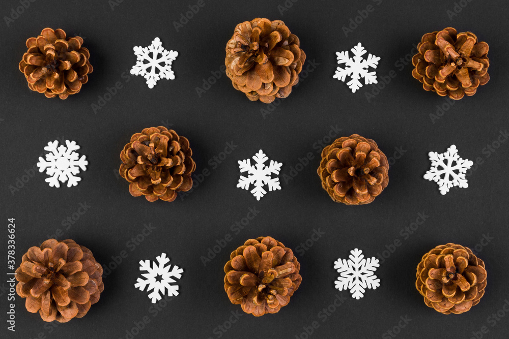 Top view of holiday composition made of pine cones and white snowflakes on colorful background. Winter time and Christmas concept with copy space