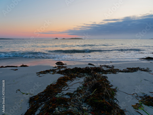 Seaweed left on the seashore at dusk by the receding tide in Landeda, Brittany photo