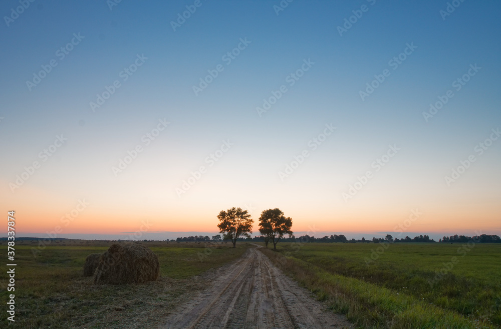 field with green grass against the sunset sky.