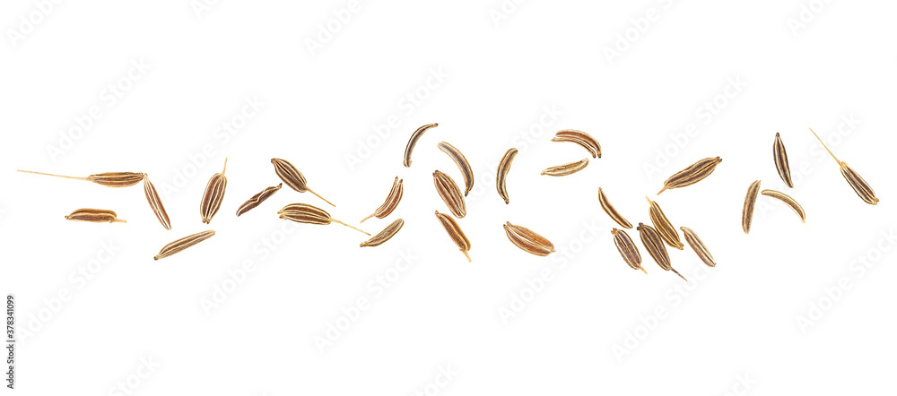 Dried caraway seeds isolated on a white background, top view. Cumin seeds. Dried caraway seeds isolated on a white background, top view. Cumin seeds.