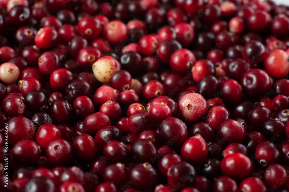 Cranberry. Small forest red berry. A scattering of cranberries. Vitamins from nature Cranberry. Small forest red berry. A scattering of cranberries. Vitamins from nature