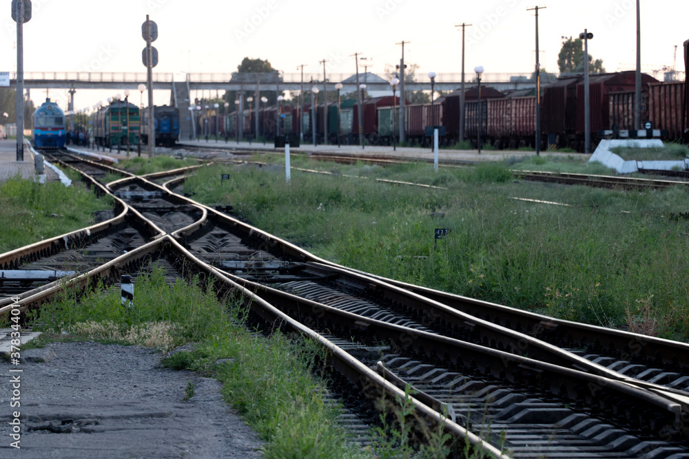 Obraz premium Summer railway tracks overgrown with green grass. Way out.