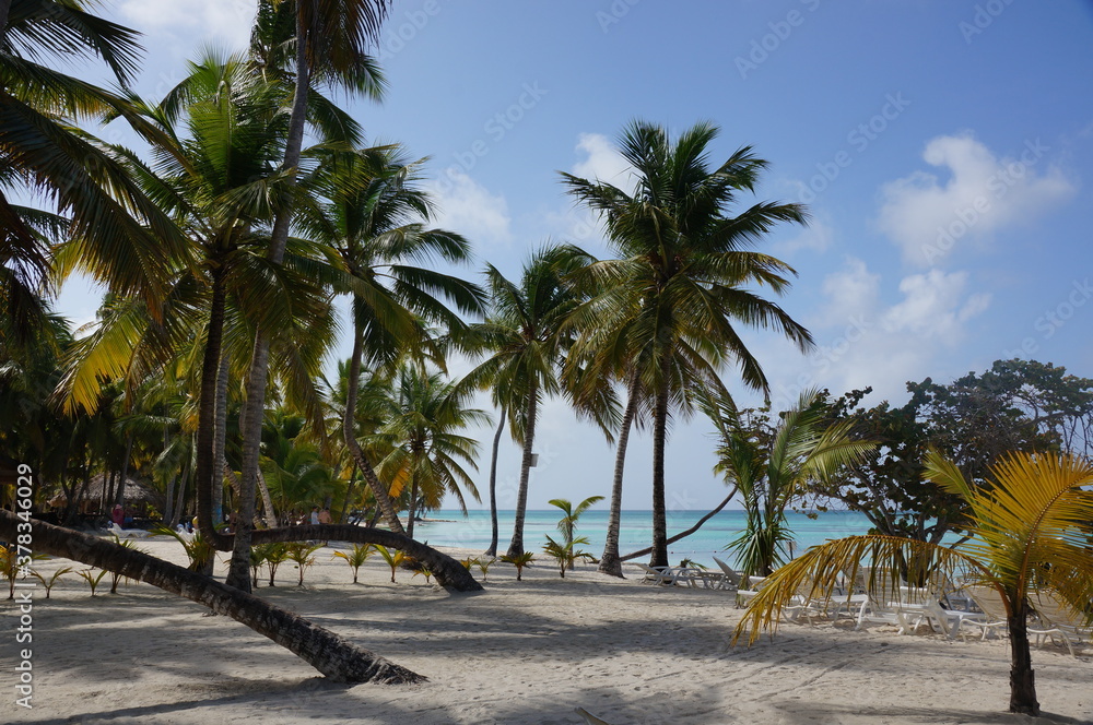 Obraz premium nature of the Dominican Republic