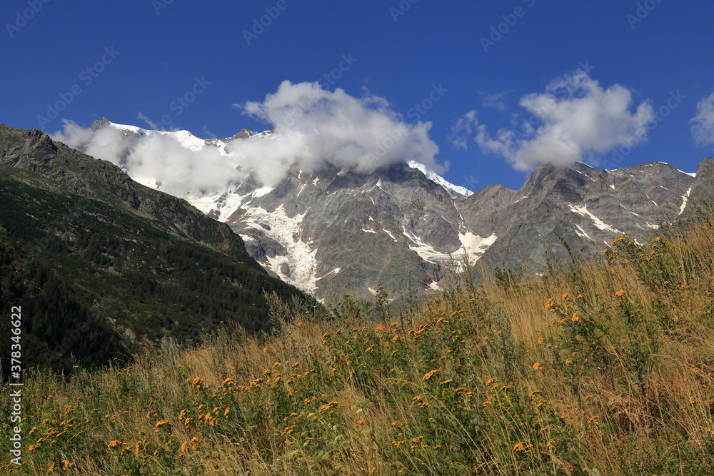 Panorama della Parete Est del Monte Rosa da Macugnaga con nuvole, montagne e fiori in primo piano
