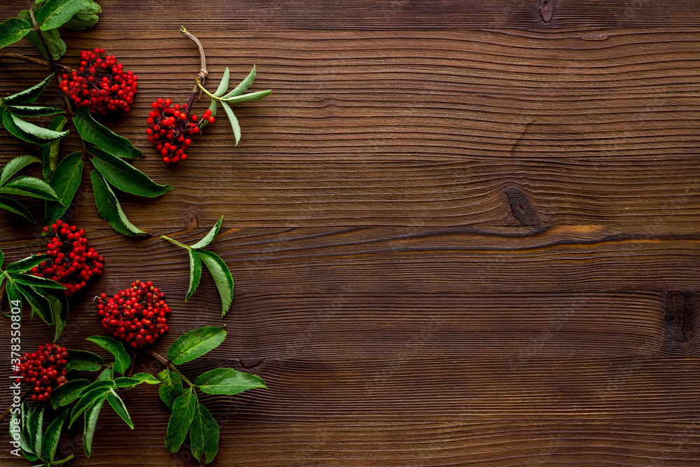 Wild red berries and herbs on a table top view, copy space