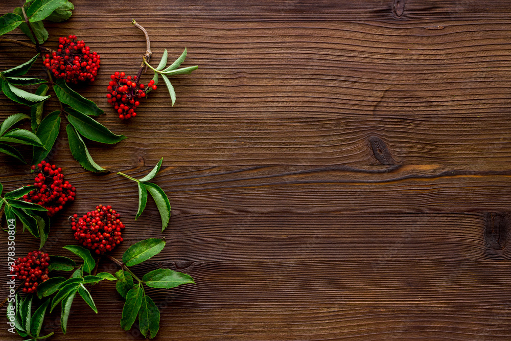 Wild red berries and herbs on a table top view, copy space Wild red berries and herbs on a table top view, copy space