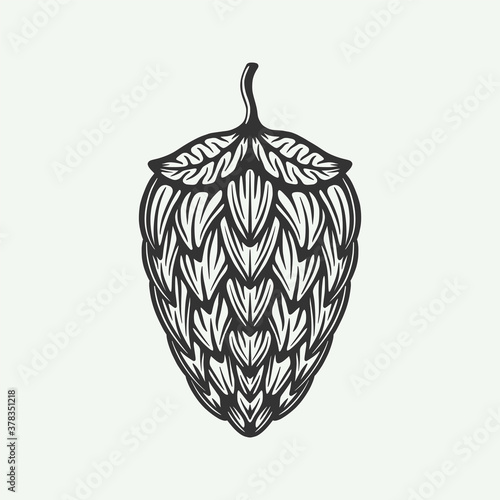 Vintage retro beer hops plant. Can be used like emblem, logo, badge, label or mark. Also can be used like poster or print. Monochrome Graphic Art. Vector Illustration..