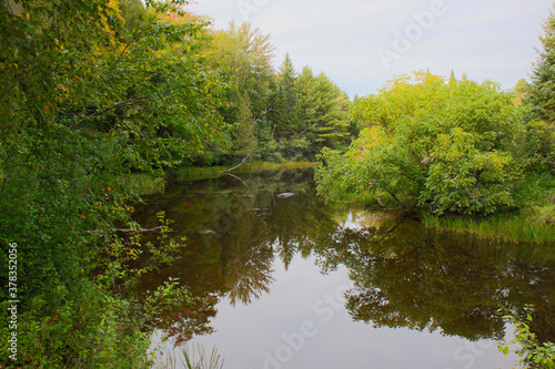 pond landscape environment conservation water forest reflection