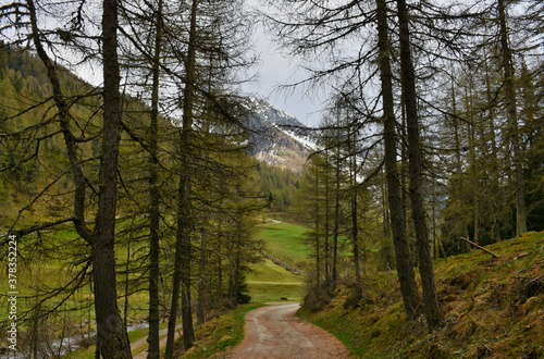 Winkeltalbach, Zaun, Holzzaun, Lattenzaun, Deferegger Alpen, Villgrater Berge, Winkeltal, Villgraten, Almweg, Hütte, Almhütte, Außervillgraten, Brunneralm, Alm, Weg, Feldweg, Forststraße, Almwiese, Ta photo