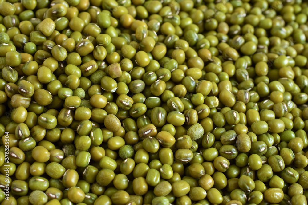 Close up,Mung bean seed (Green bean) background , background pattern,Agricultural products.Top view.. Close up,Mung bean seed (Green bean) background , background pattern,Agricultural products.Top view..