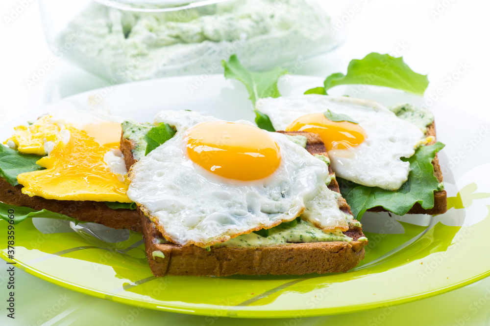 fried toast with cheese spread of arugula and fried egg in a plate fried toast with cheese spread of arugula and fried egg in a plate