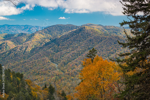 Great Smoky Mountains National Park  Tennessee  USA at the Newfound Pass