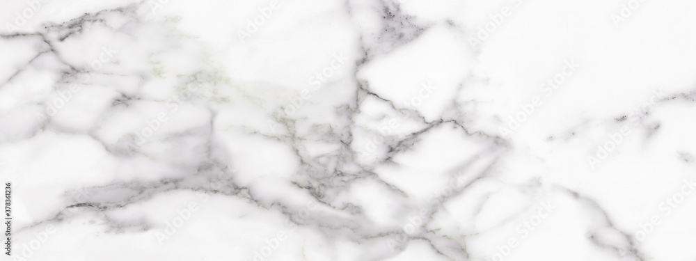 white marble texture white marble texture