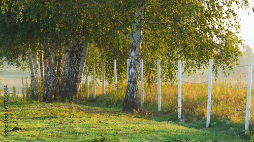 Fototapeta Naklejka Na Ścianę i Meble -  Zagroda