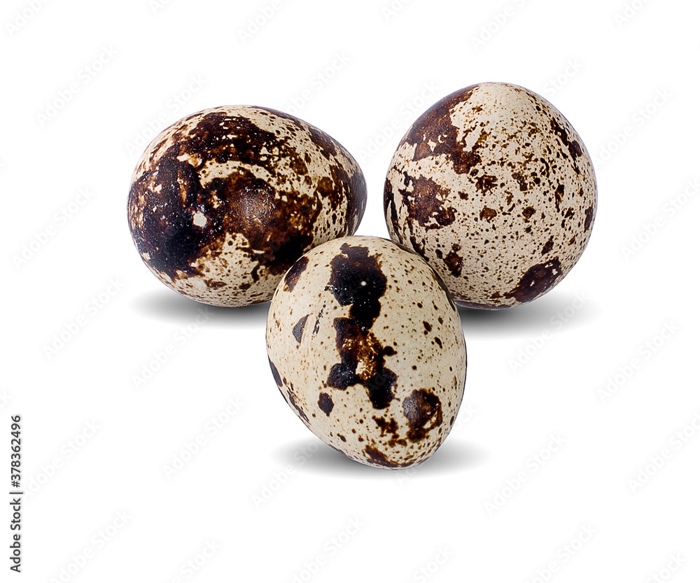 Quail eggs isolated on white background Quail eggs isolated on white background
