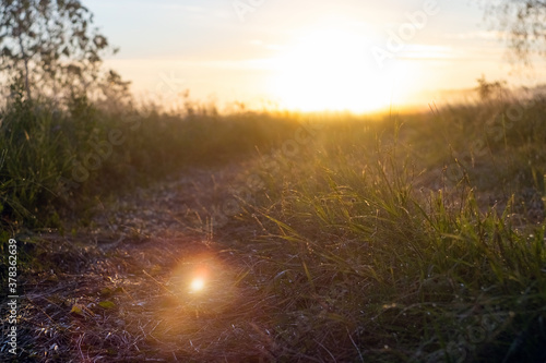 sunrise in the field