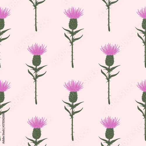 Burdock flower silouettes seamless pattern. Pink buds with green stems on light soft pink background.