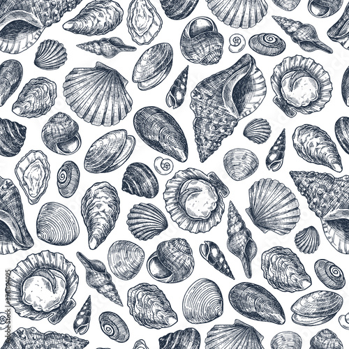 Seashell vintage seamless pattern. Engraved style set. Various shell forms. Vector illustration