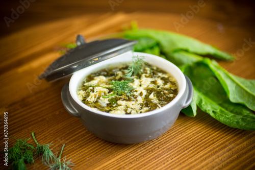 fresh spring organic soup with green sorrel and egg in a plate