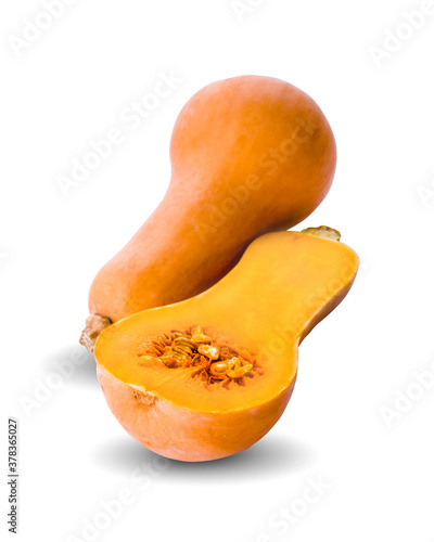 butternut squash isolated on white background
