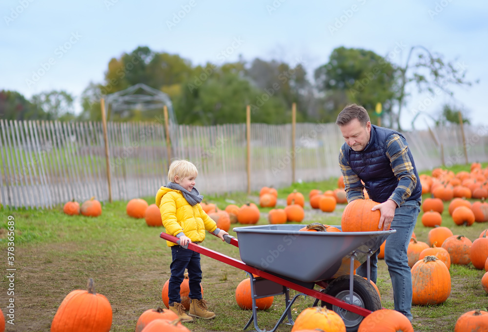 Obraz premium Little boy and his father on a pumpkin farm at autumn. Family with child hold a wheelbarrow with pumpkins.