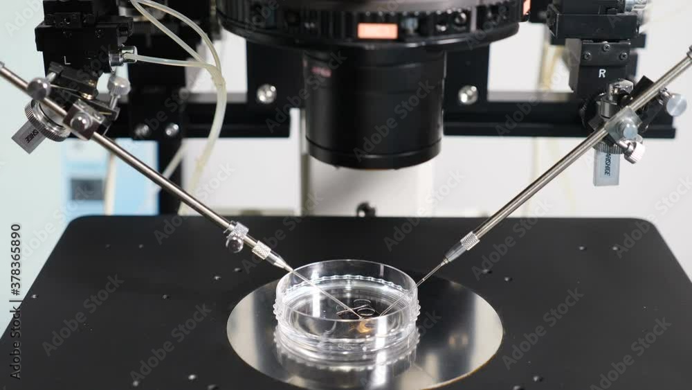 Reproduction Microscope Reproductive medicine equipment in medical laboratory Close-up of ...