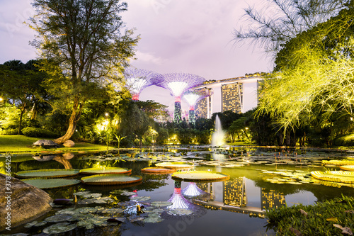 Canvas Print Stunning view of the illuminated Supertree Grove in the distance and the the Water Lily Pond in the foreground