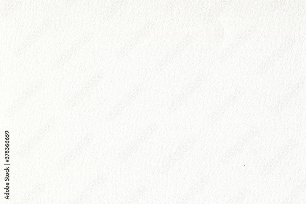White watercolor textured background. Paper
sheet. White watercolor textured background. Paper
sheet.