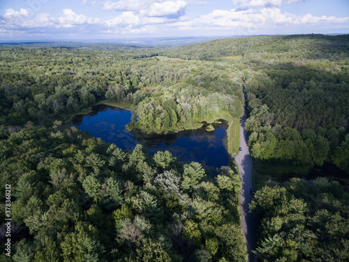 Aerial view of pond in forest © David Katz