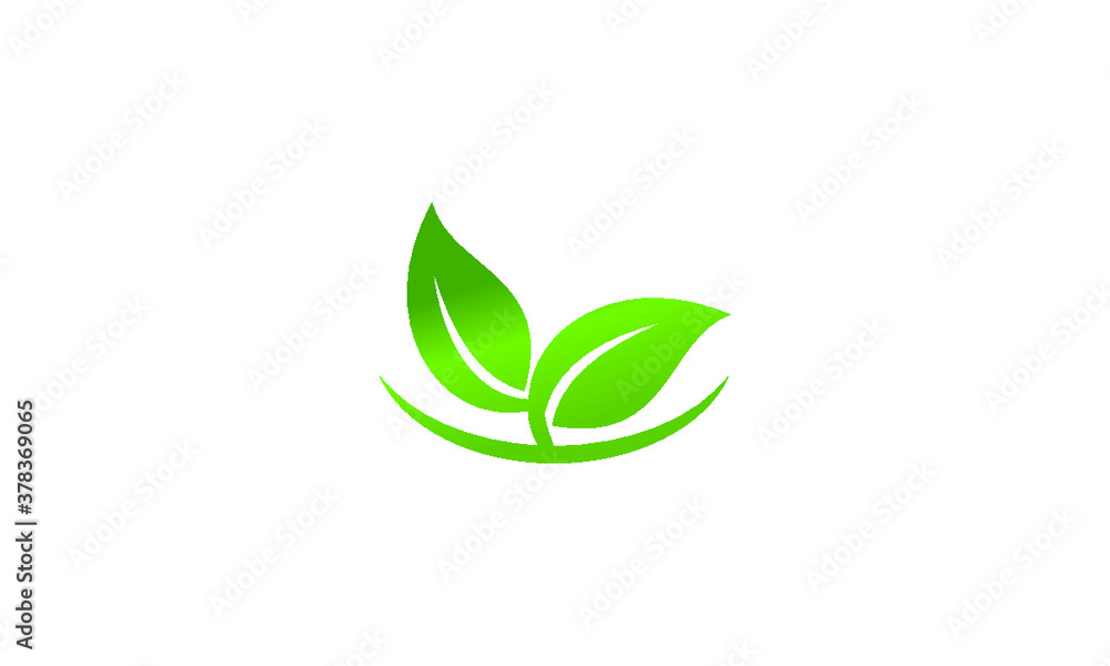Naklejka premium green leaf symbol