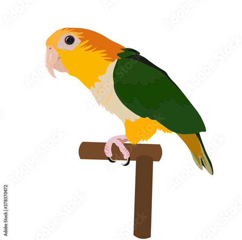 Vector stock illustration of a small bird. Bright green and yellow feathers. Beak. Parrot forest of parrots. Isolated on a white background. Pet. Children's favorite playful character.