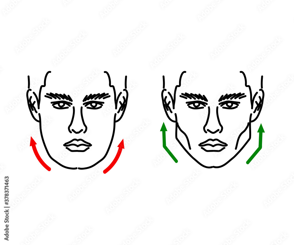face, cheekbones, face correction, head, silhouette, maxilla, sketch