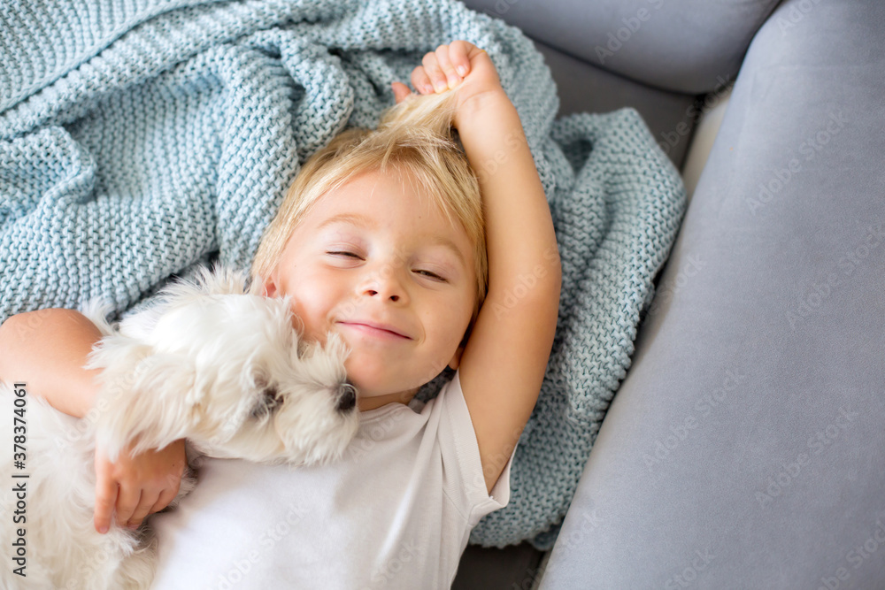Little toddler child, boy, lying in bed with pet dog, little maltese dog Little toddler child, boy, lying in bed with pet dog, little maltese dog