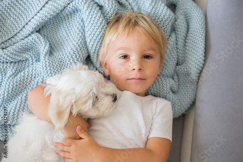 Little toddler child, boy, lying in bed with pet dog, little maltese dog