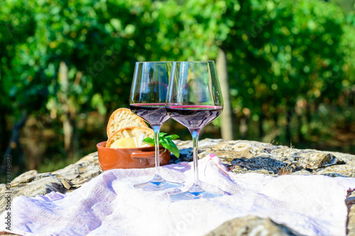 Summer picnic or outdoor tasting of red wine on vineyards in Lazio, Italy