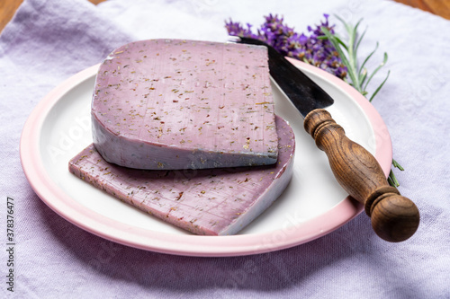 Cheese collection, pieces of violet hard cheese made with aromatic lavender seeds and fresh lavender flowers