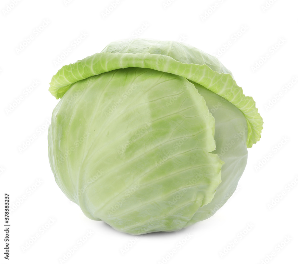Whole fresh ripe cabbage isolated on white Whole fresh ripe cabbage isolated on white