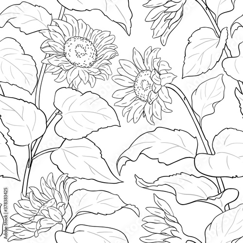 sunflower vector pattern