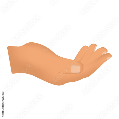 Isolated human hand. Body parts. Superior limbs - Vector